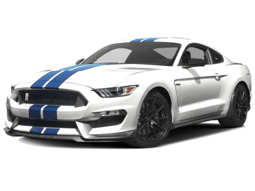 2016-2020 Ford Mustang Shelby GT350R-Shelby GT350 (vehicle reference photo)