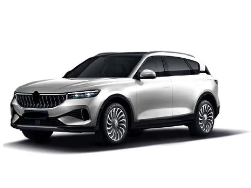 2021-2022 Voyah Free (vehicle reference photo)