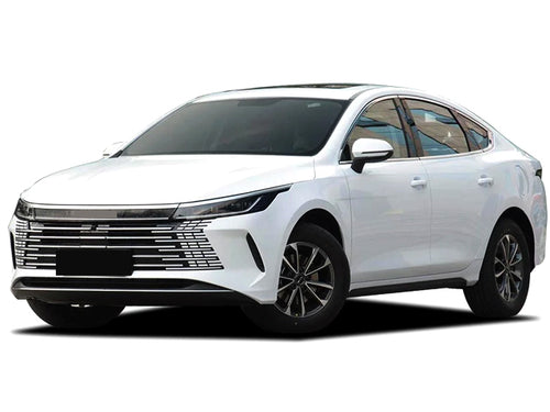 2022-2026 BYD Destroyer 05 Base (vehicle reference photo)