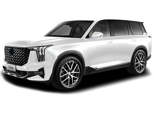 2022-2026 GAC GS8 Deluxe (vehicle reference photo)