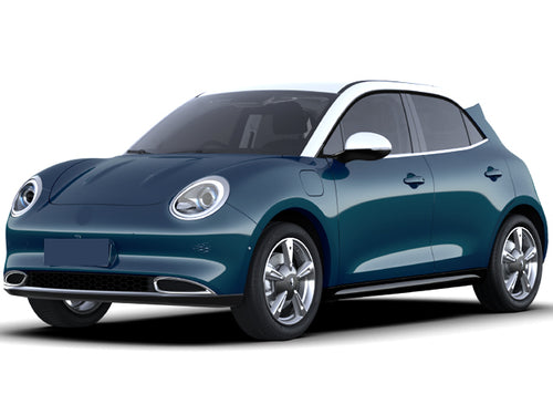 2022-2026 Ora Grand Cat Base (vehicle reference photo)