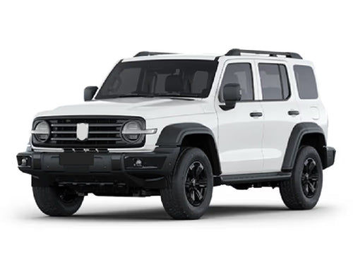 2022-2026 Tank 300 City (vehicle reference photo)