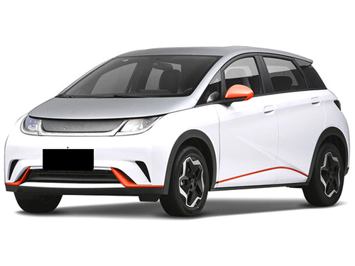 2023-2026 BYD Dolphin Mini Base (vehicle reference photo)