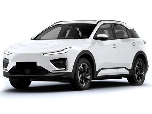 2023-2026 Neta X Base (vehicle reference photo)