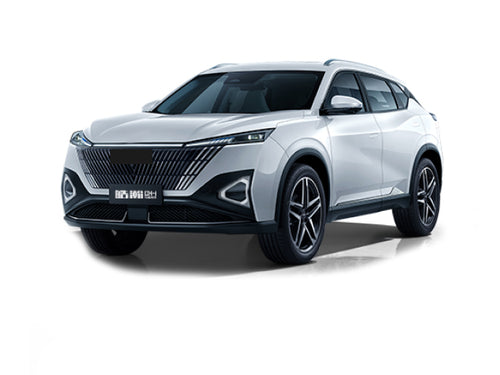 2024-2026 Dongfeng Haohan Base (vehicle reference photo)