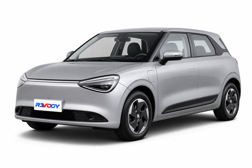 2024-2026 Dongfeng Nammi 01 Base (vehicle reference photo)