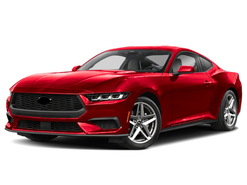 2024-2026 Ford Mustang EcoBoost (vehicle reference photo)